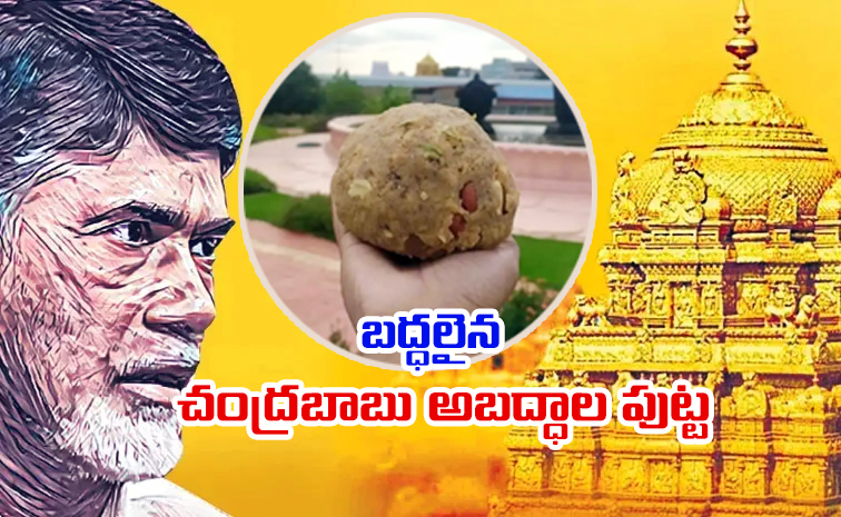 tirumala_20laddu2.jpg