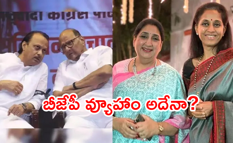 Ajit-Pawar-wife.jpg