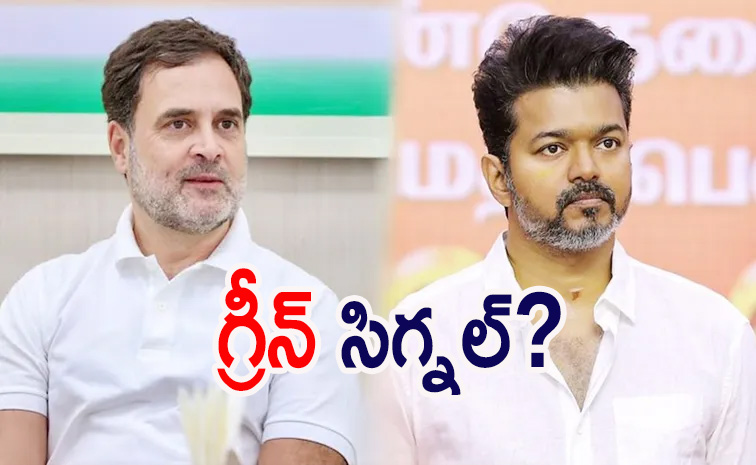 Rahulgandhi_vijay.jpg