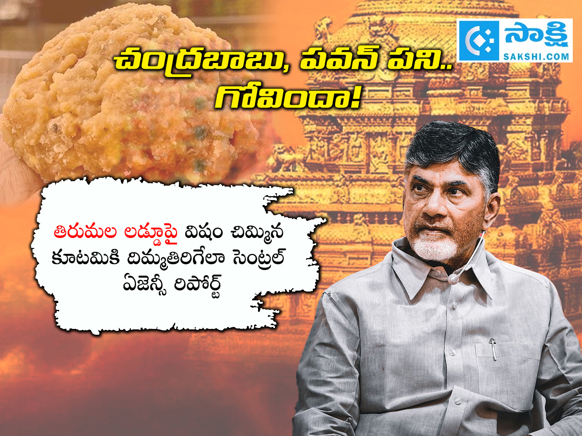 SIT_20Released_20Report_20On_20Tirupati_20Laddu_20Proving_20Chandrababu_20And_20Pawan_20Kalyan_20Fake_20Allegations_20Political_20Drama__20_283_29.jpg 3
