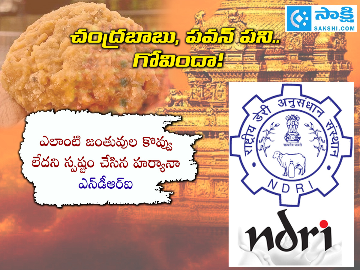 SIT_20Released_20Report_20On_20Tirupati_20Laddu_20Proving_20Chandrababu_20And_20Pawan_20Kalyan_20Fake_20Allegations_20Political_20Drama__20_289_29.jpg 9
