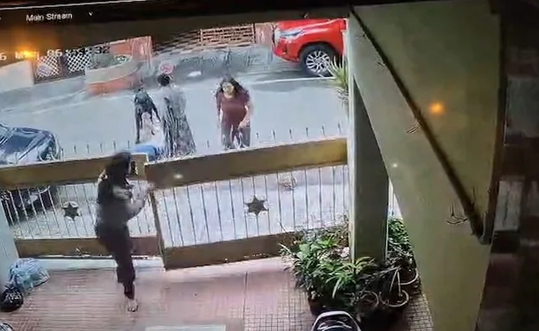 Dogattack.jpg