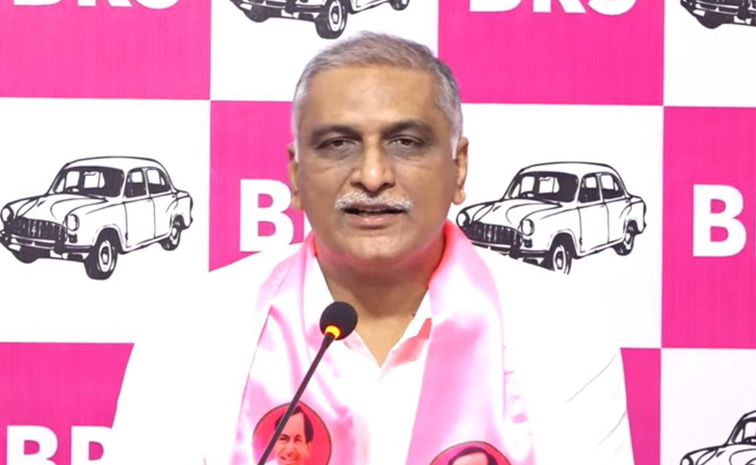 Harish-Rao.jpg