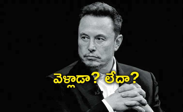 Elon-Musk.jpg