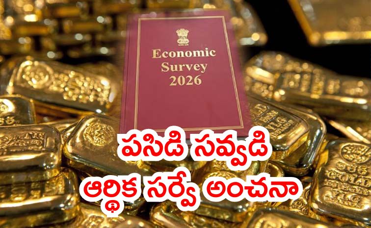 gold-economic-survey_20_281_29.jpg