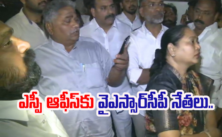 ysrcp3.jpg