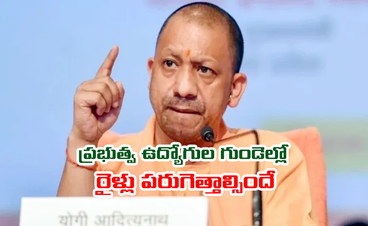 yogi.jpg