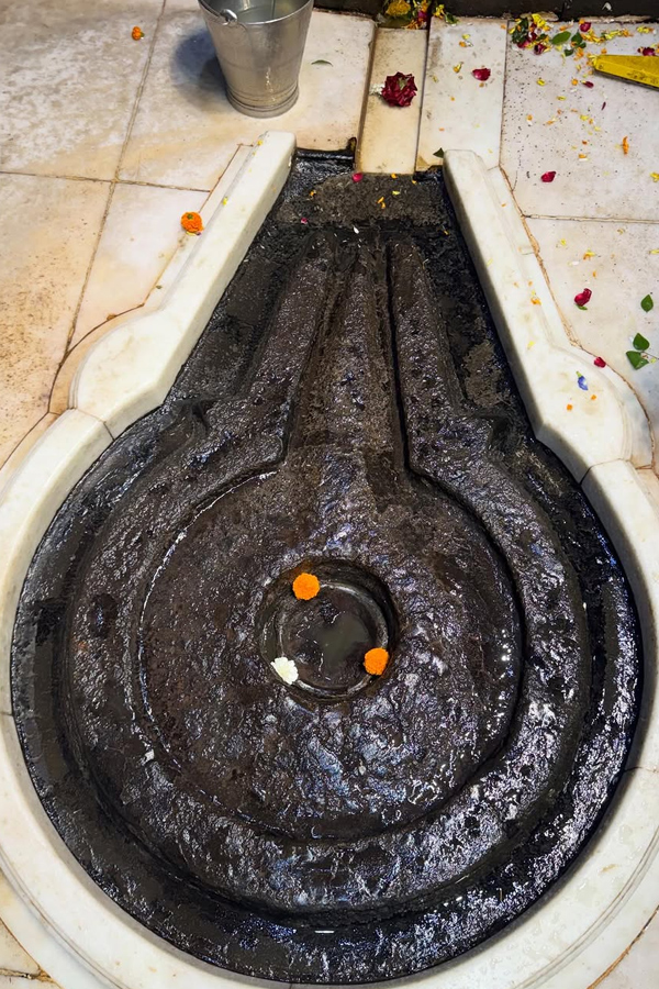 Actress_20Ananya_20Panday_20visits_20Trimbakeshwar_20Jyotirlinga_20Temple_20PHotos_20_2813_29.jpg 14