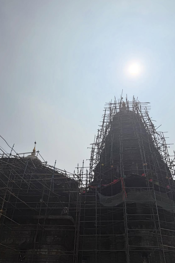 Actress_20Ananya_20Panday_20visits_20Trimbakeshwar_20Jyotirlinga_20Temple_20PHotos_20_2817_29.jpg 18