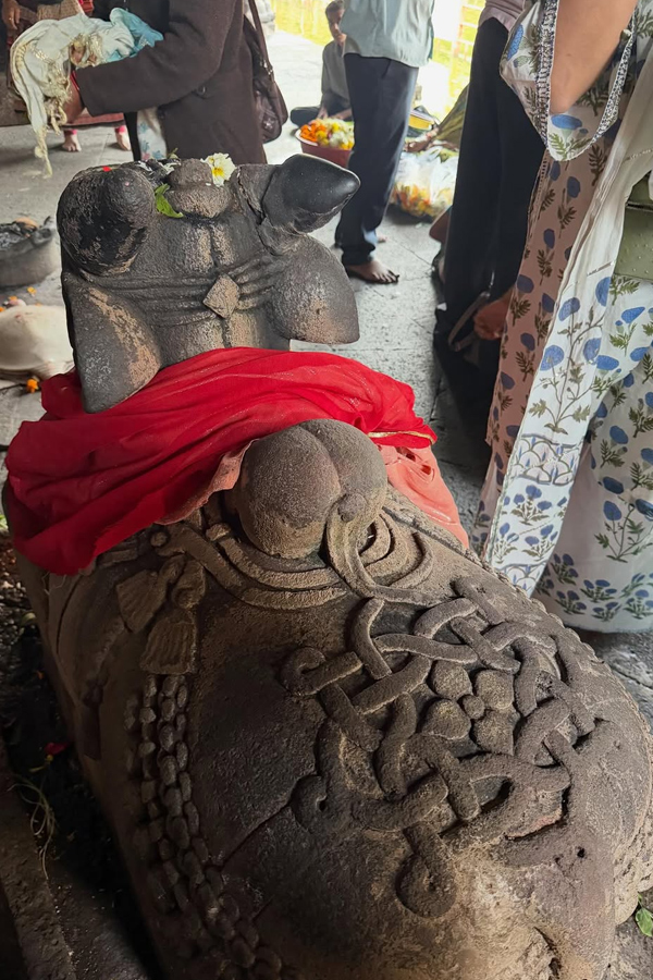 Actress_20Ananya_20Panday_20visits_20Trimbakeshwar_20Jyotirlinga_20Temple_20PHotos_20_285_29.jpg 6