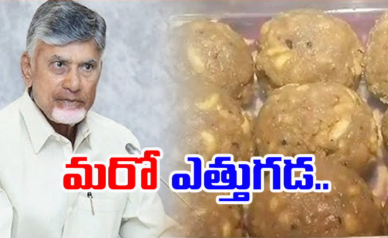 chandrababu.jpg