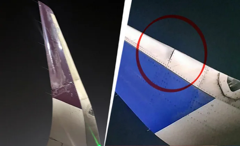 indigo-2_0.jpg