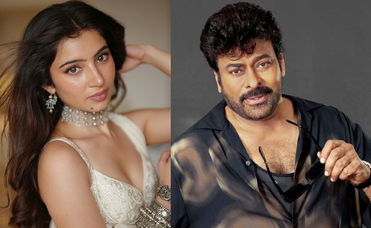 chiranjeevi-sara-arjun.jpg