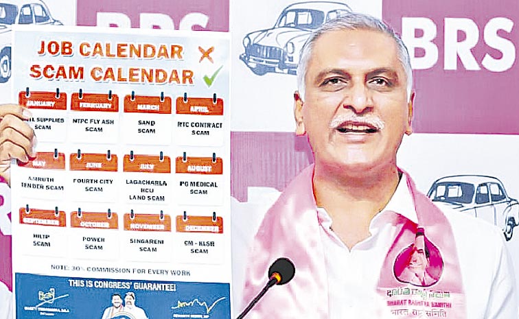 Harish-Rao.jpg
