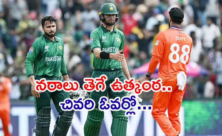 Pakistan-Beat-Netherlands.jpg