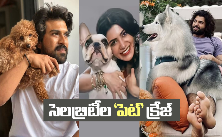 celebrities-pets.jpg