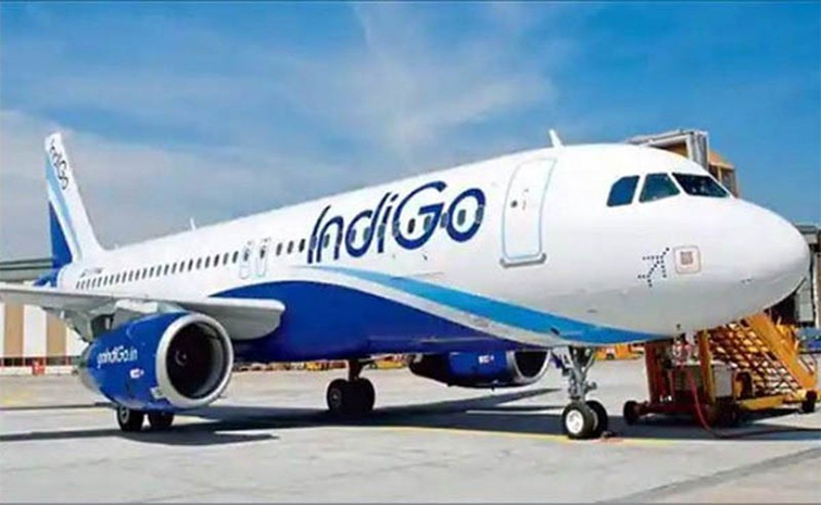 indigo.jpg
