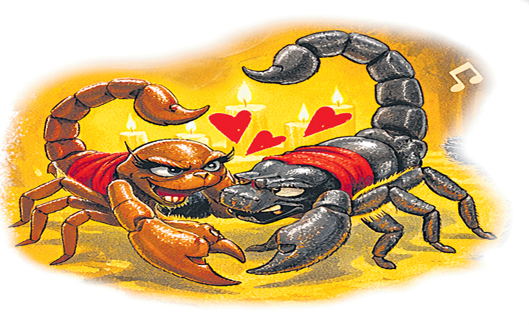 scorpion---2.jpg
