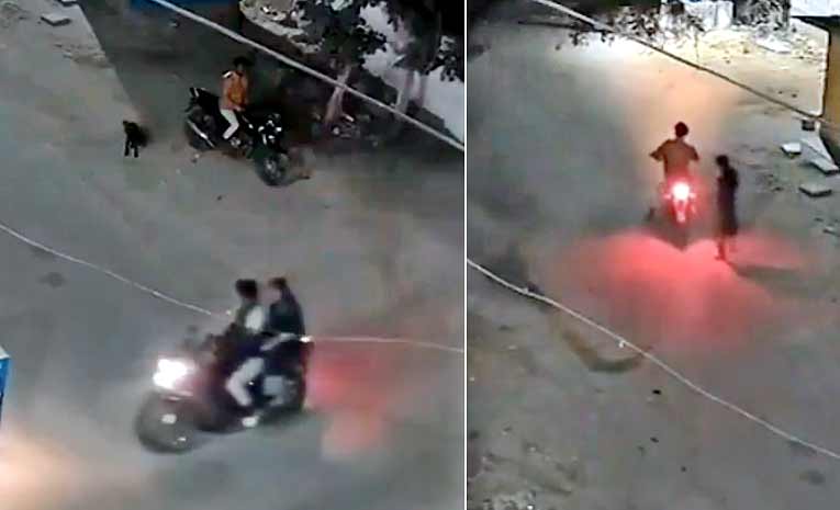 4242.jpg