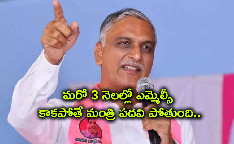 Harish-Rao-Takes.jpg