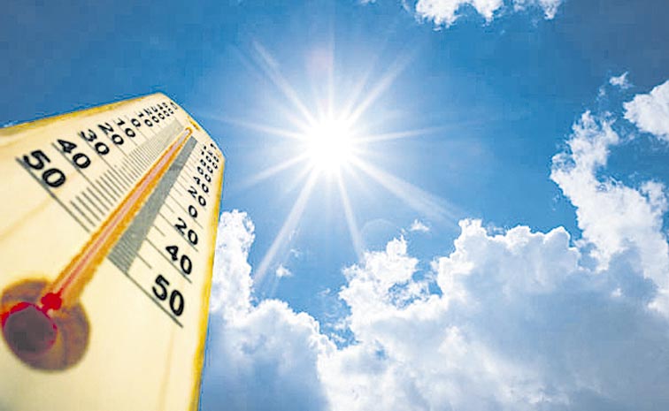 SUMMER01.jpg