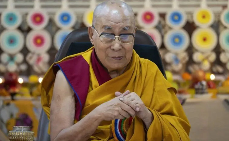 lama.jpg