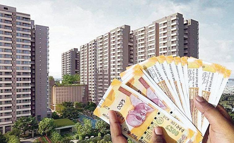 sebi.jpg