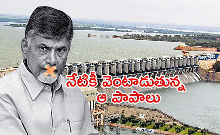 Chandrababu.jpg