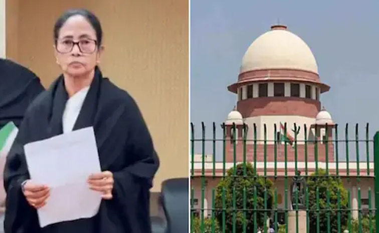 mamata.jpg