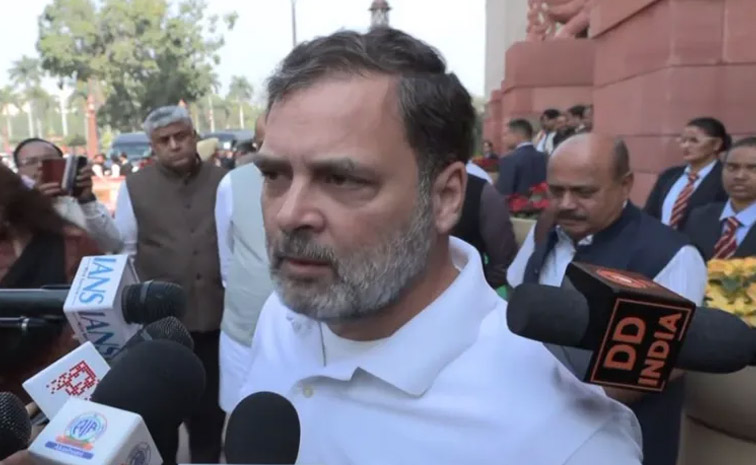 rahul.jpg