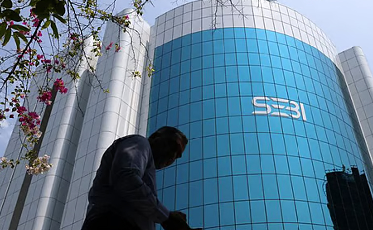 sebi.jpg