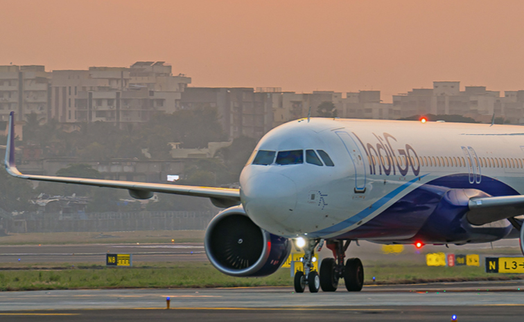 Flight.jpg