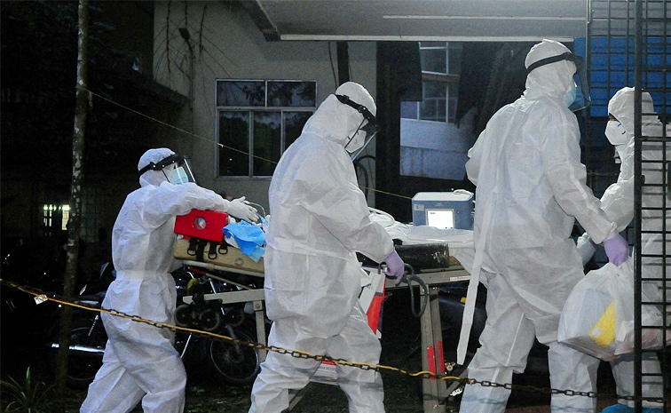 Nipah-virus.jpg
