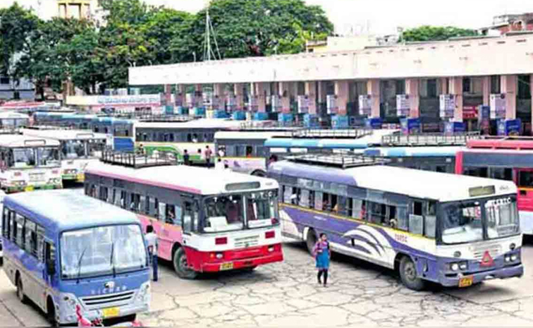 Special-Buses.jpg