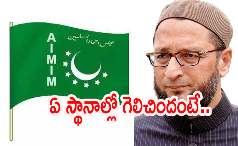 mim3.jpg
