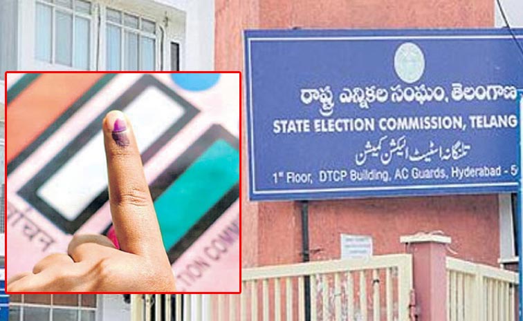 EC.jpg