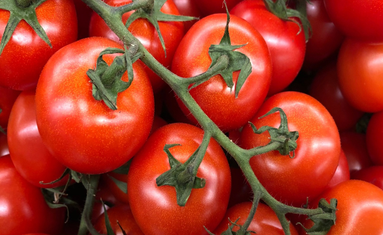 Tomato.jpg