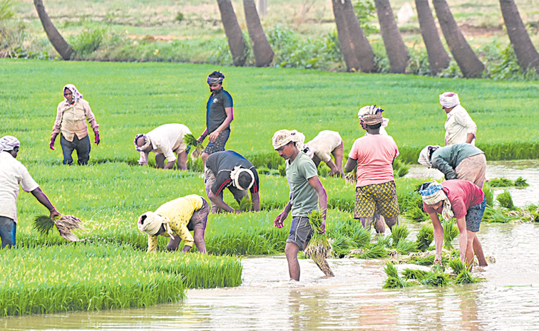 agri.jpg