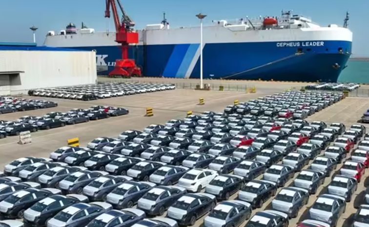 maruti-suzuki-sales.jpg