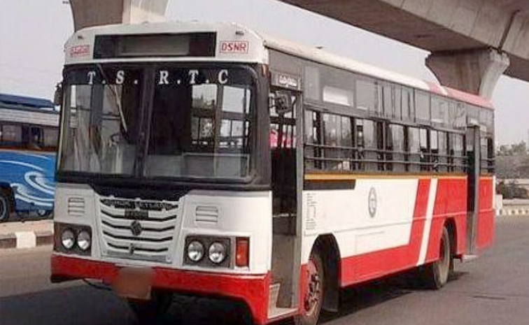 BUS.jpg