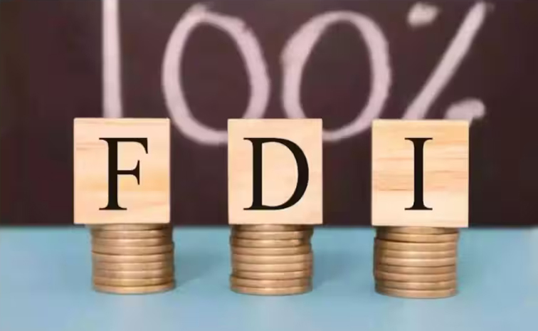 fdi001.jpg
