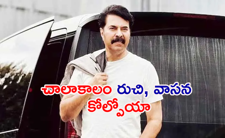 Mammootty.jpg