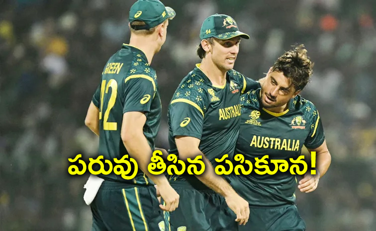 crush-Australia.jpg