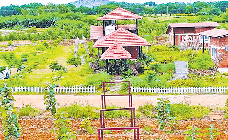 FARM-1.jpg