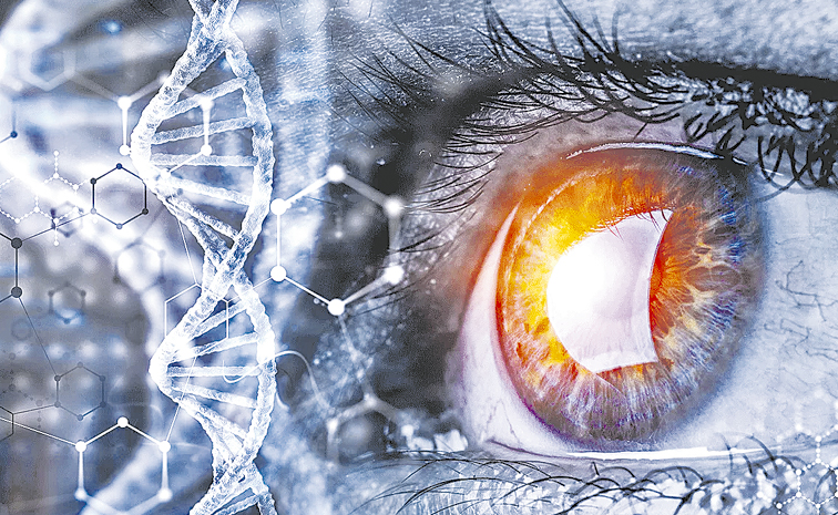 Retina-damage-reversal-drug.jpg