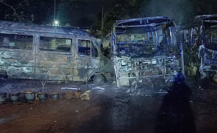 buses.jpg