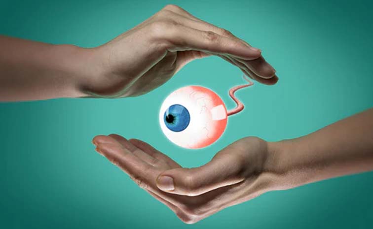 eye.jpg