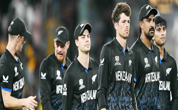 newzealand.jpg