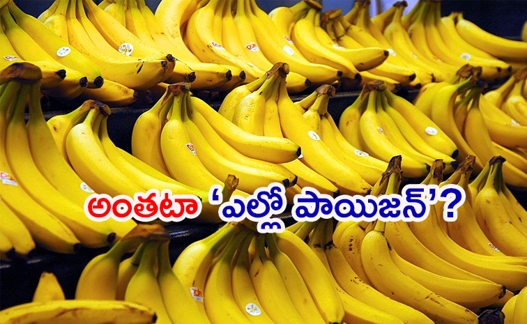 ripened-bananas.jpg
