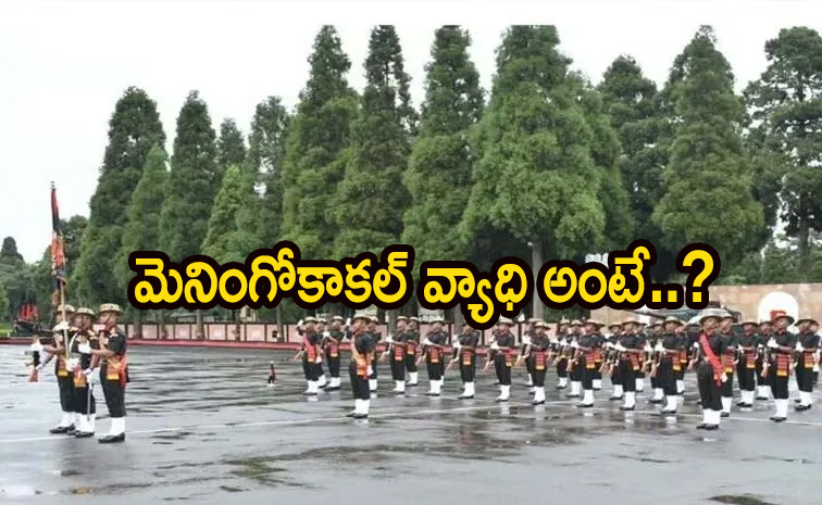 army3.jpg